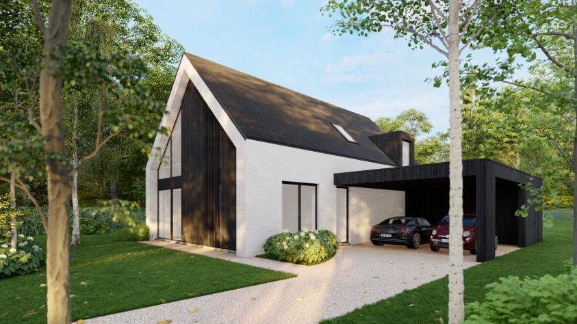 Project Prins Albertlei