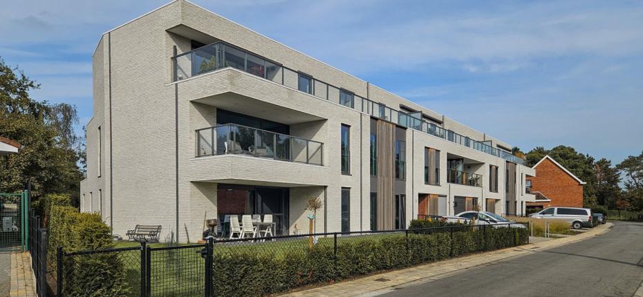 Project Jan Van Eyck